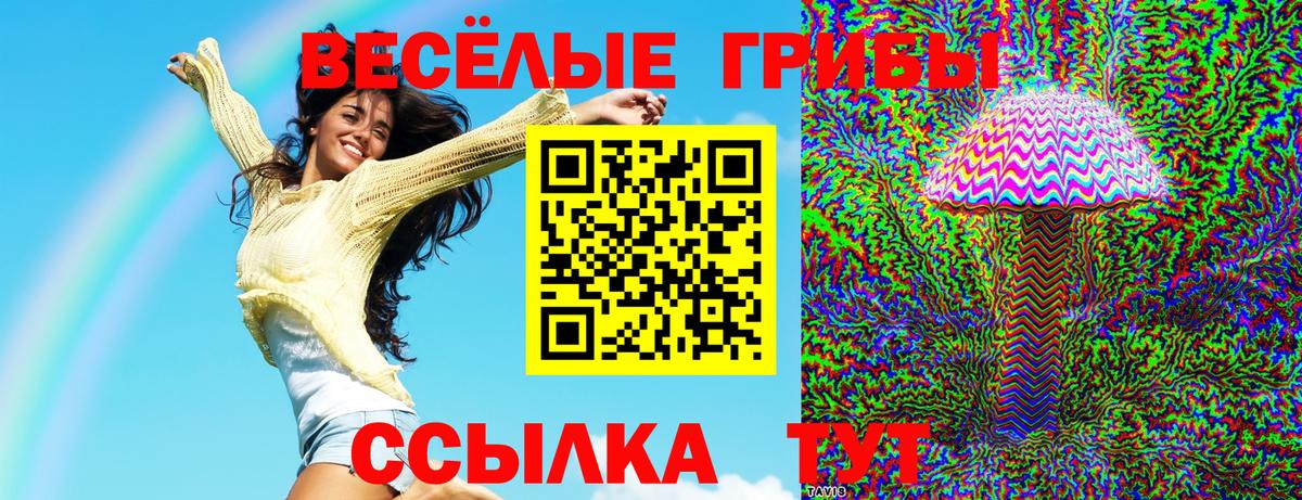 Псилоцибиновые грибы прущие грибы  продажа наркотиков  Заречный  Вход с VPN 