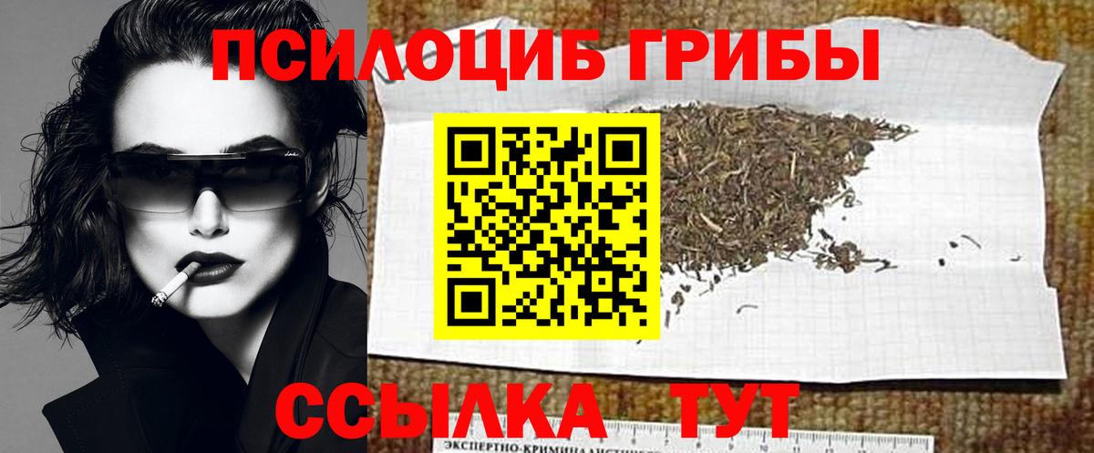 Псилоцибиновые грибы Magic Shrooms Заречный