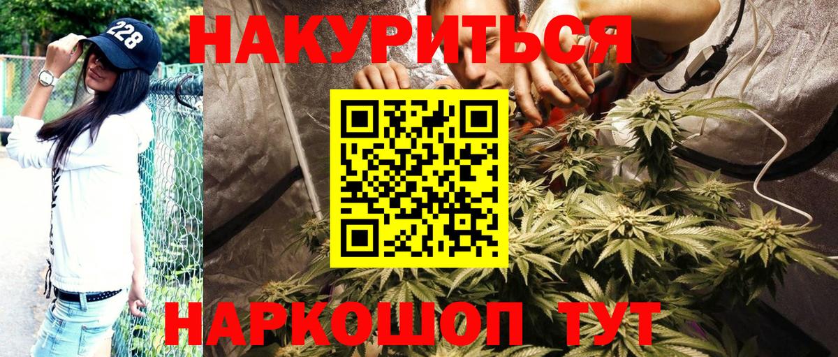 Конопля Amnesia  Шишки марихуана OG Kush  Вход с VPN  Бошки Шишки индика  Заречный  Шишки марихуана индика 